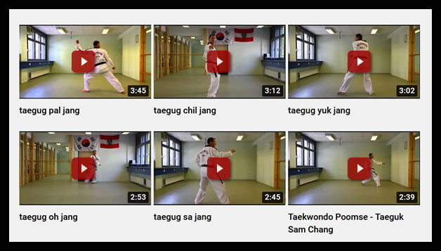 Taekwondo Videos