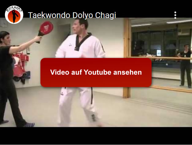 Taekwondo Techniken